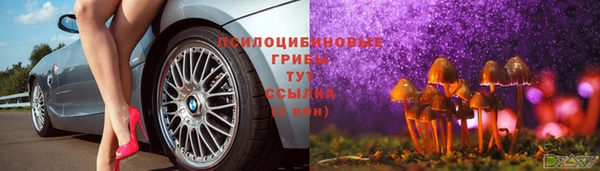 молекула духа Новозыбков