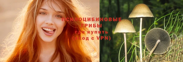 винт Новокубанск