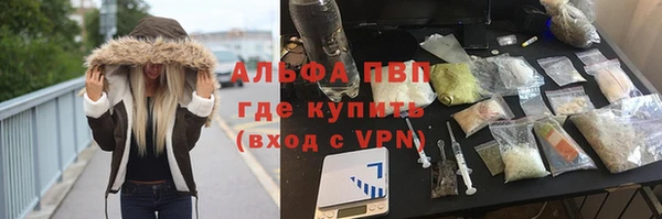 спайс Новодвинск