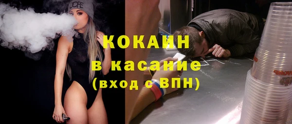 молекула духа Новозыбков
