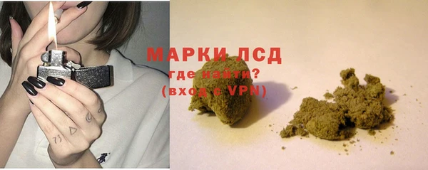 молекула духа Новозыбков
