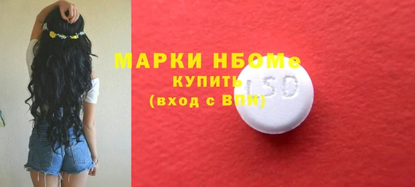 молекула духа Новозыбков
