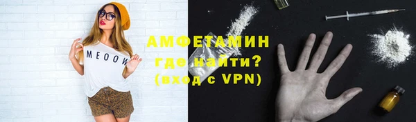 молекула духа Новозыбков