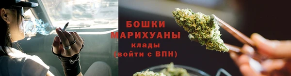молекула духа Новозыбков