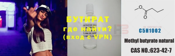 молекула духа Новозыбков
