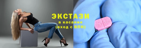 молекула духа Новозыбков