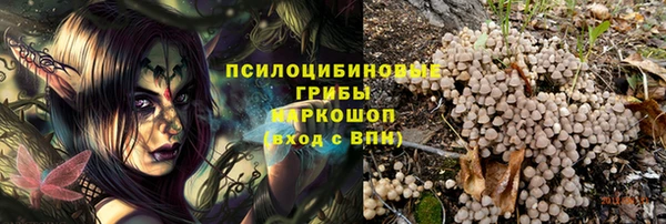 прущие грибы Алексеевка
