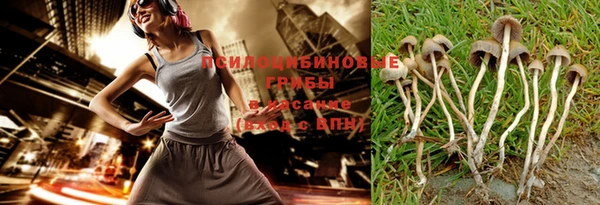 соль ск Алексин