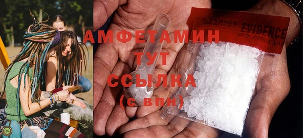 молекула духа Новозыбков