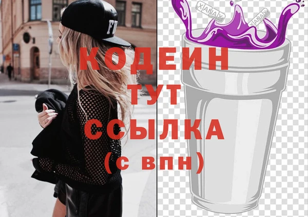 молекула духа Новозыбков