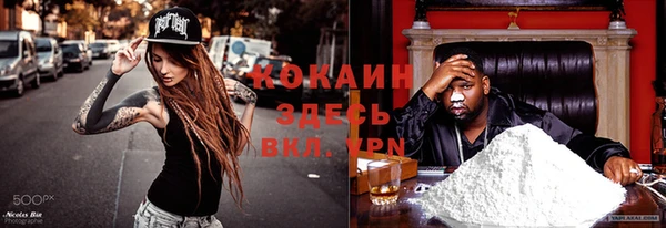 молекула духа Новозыбков