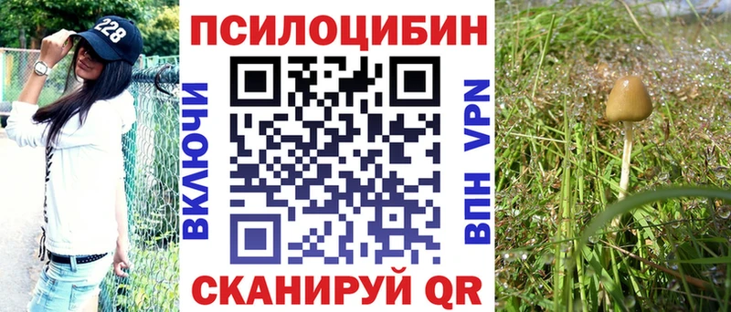 Псилоцибиновые грибы мицелий  Удомля 
