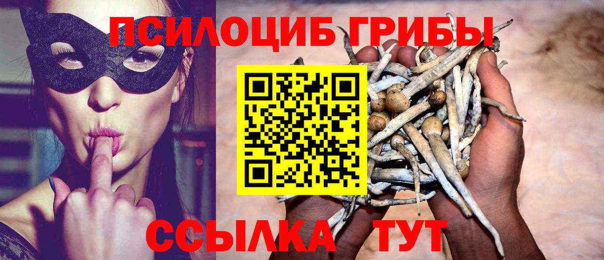 Удомля  Галлюциногенные грибы GOLDEN TEACHER  Вход с VPN  Галлюциногенные грибы Cubensis 